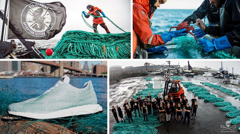 Adidas x Parley | A Mission for Our Oceans | by Deborah Araujo | Medium
