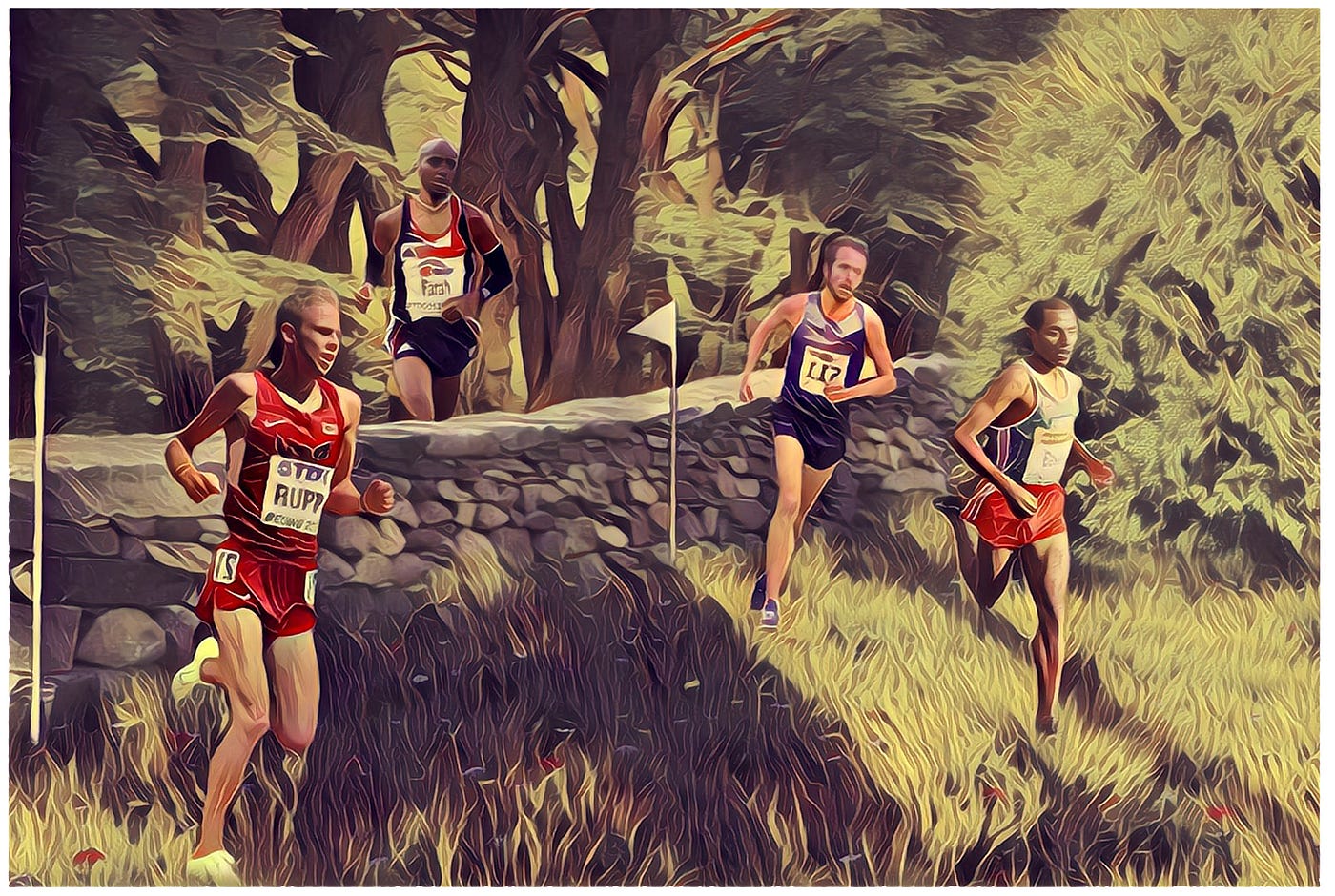 Sports Series: The evolution of cross country running