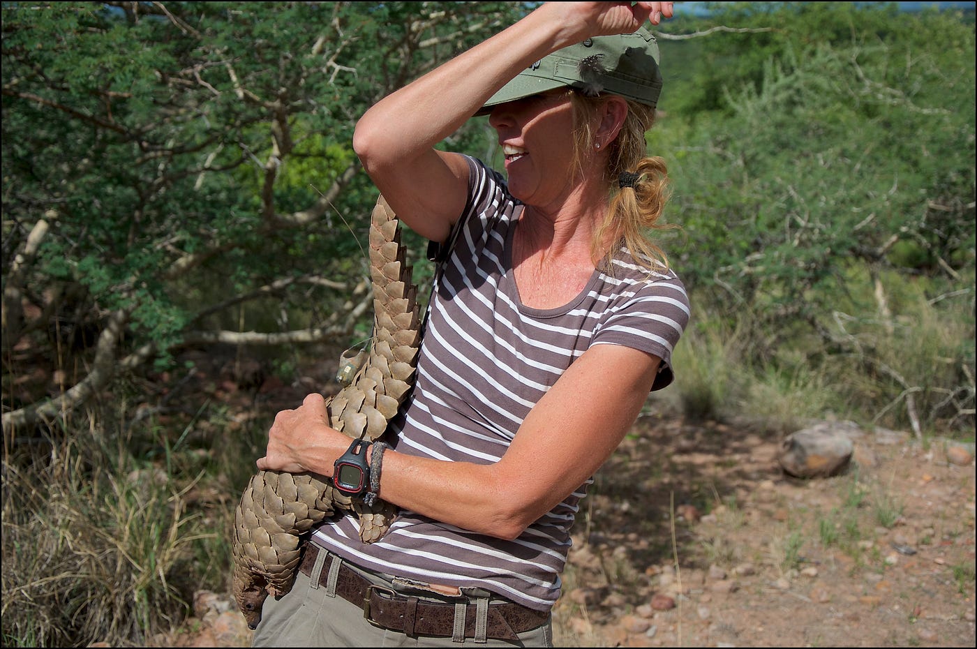 The Plight of the Pangolin, and the Woman Who Turned it Around