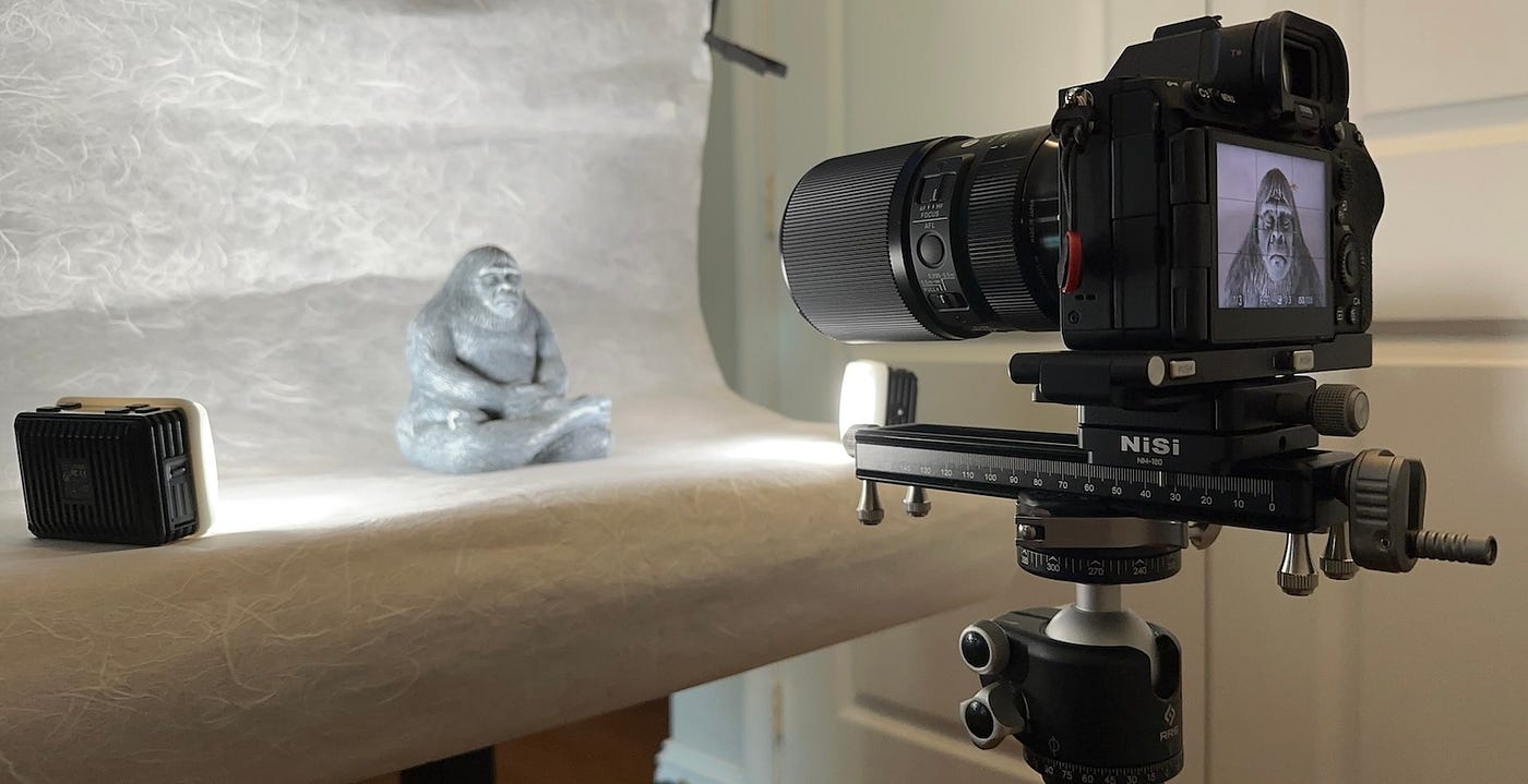 How to Use Manual Focus for Macro Photography: Master Sharp Details