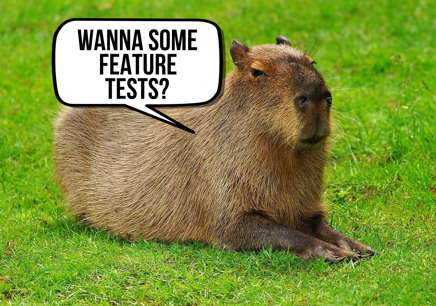 Купить Huge Capybara Pet Simulator X