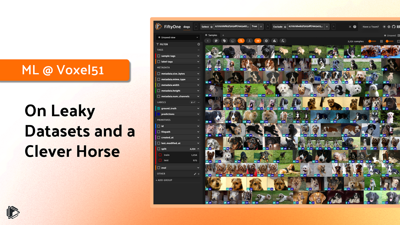 On Leaky Datasets and a Clever Horse