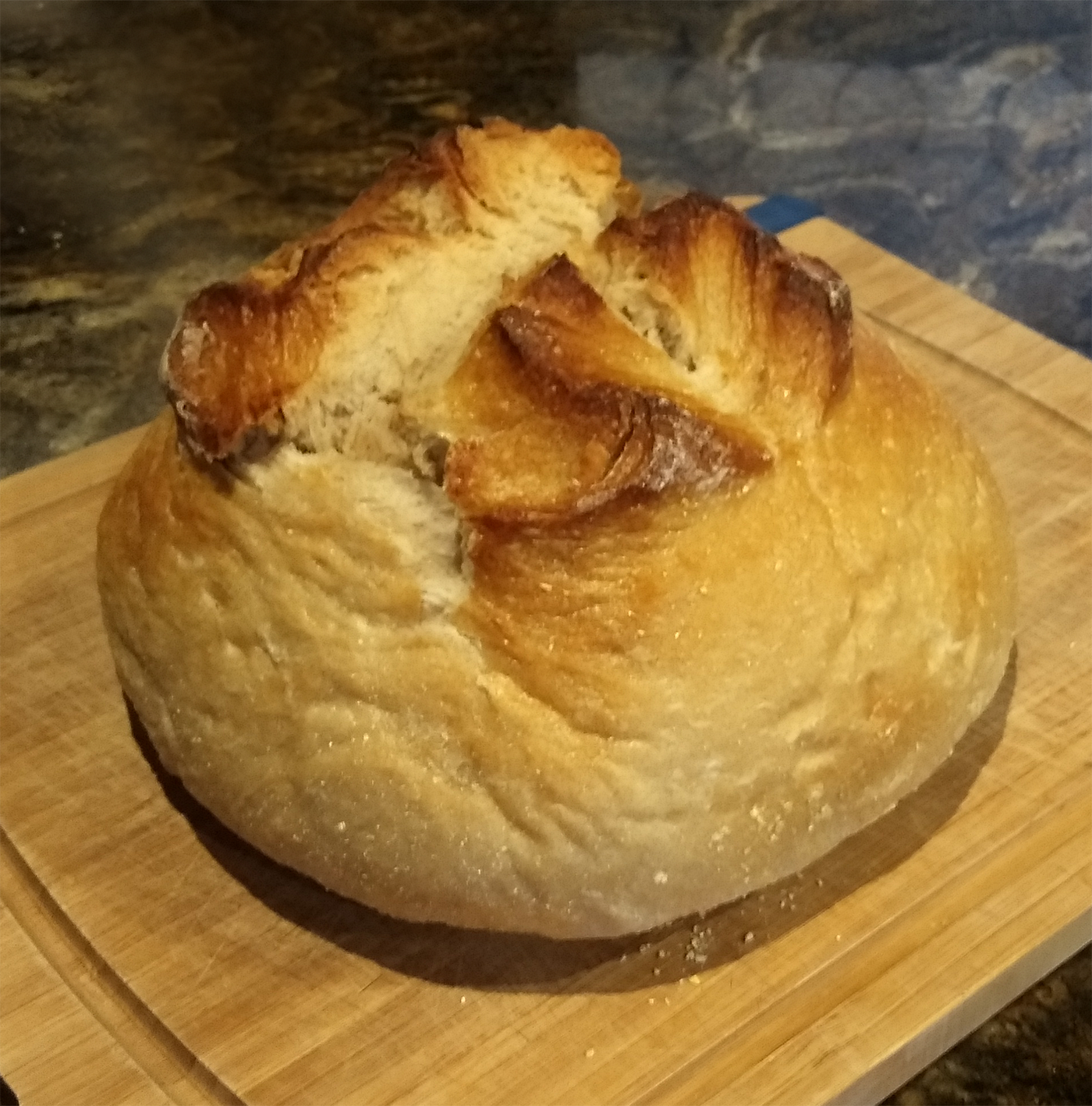 Gary's Dutch Oven Bread