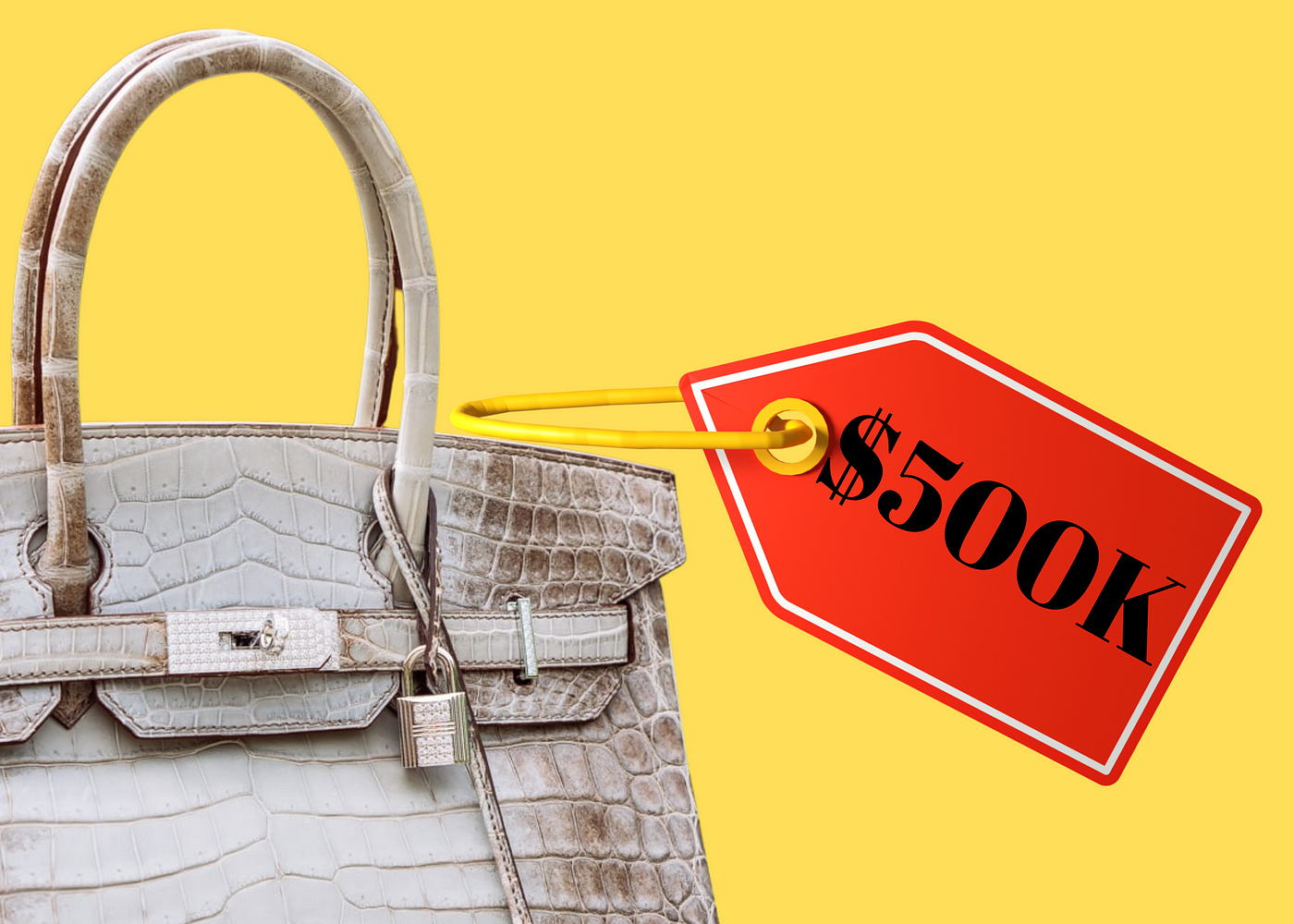 10 Top Most Expensive Birkin Bag: Let's Explore The Price And More