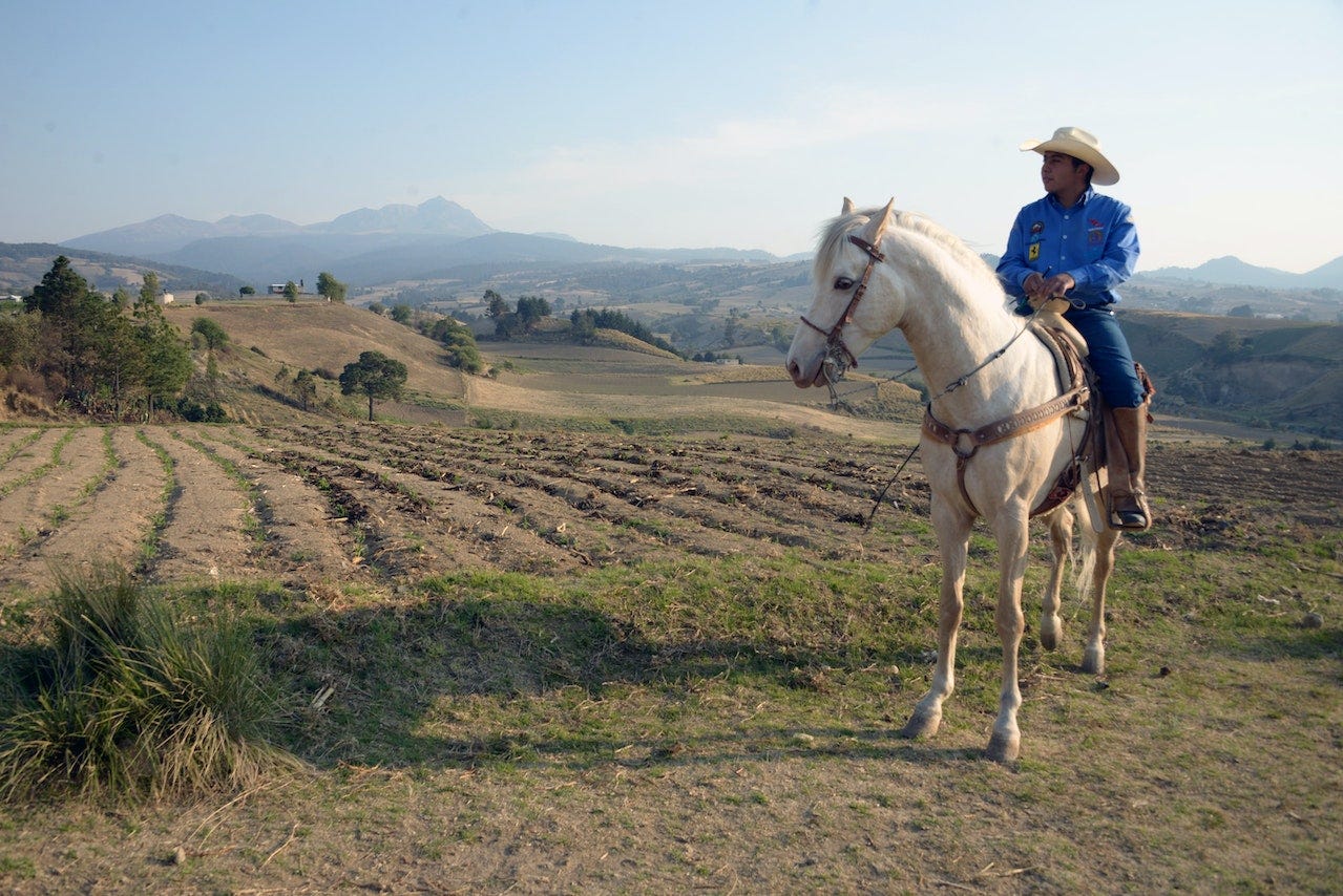The “Maybe” Farmer. What we can learn from simply accepting… | by Ashley  Southard | Age of Awareness | Medium