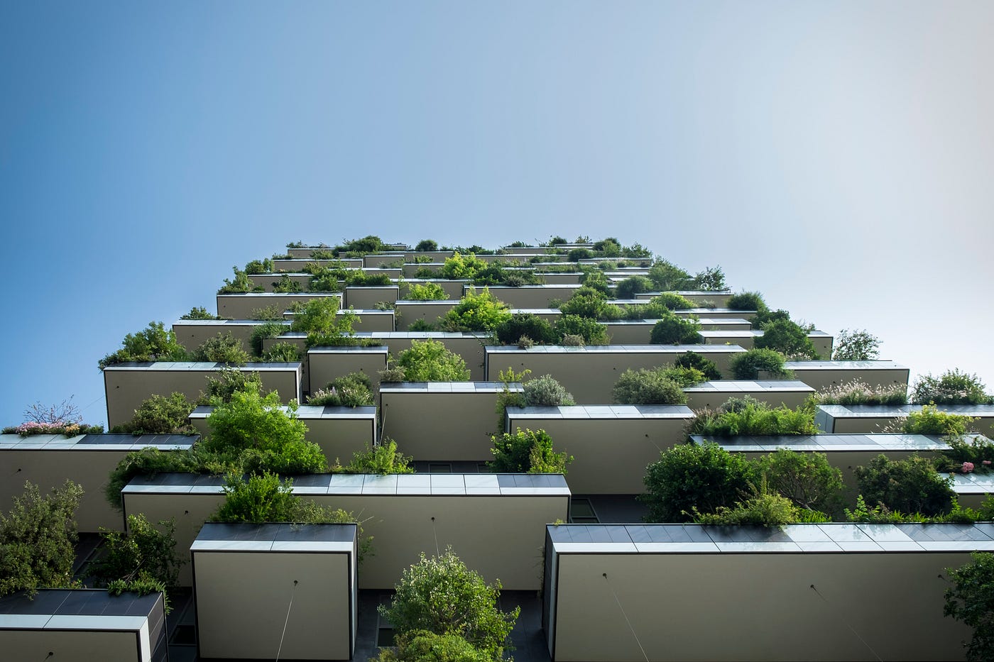 Jardines verticales, la tendencia urbanística más ecológica