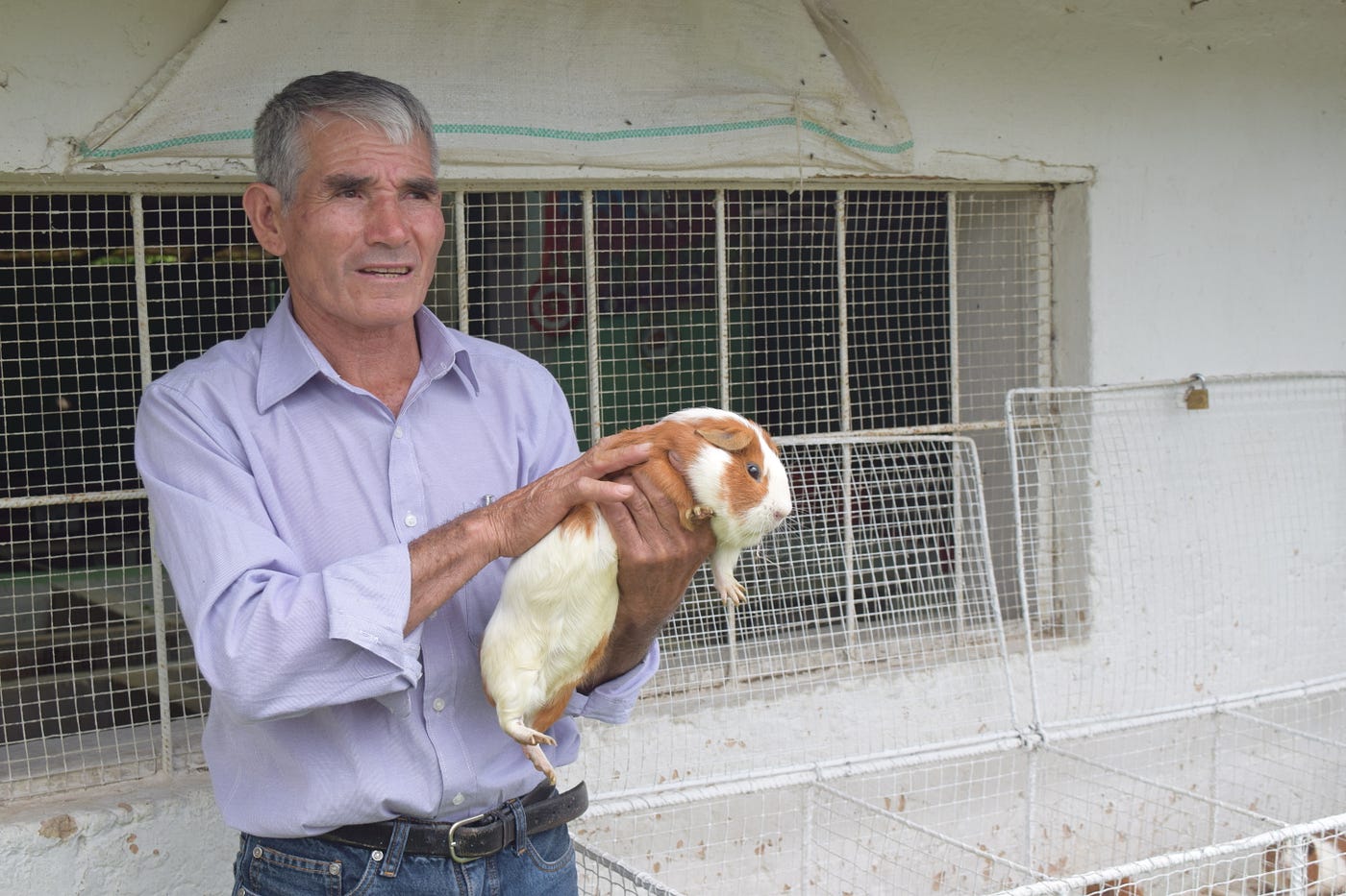 La certificación de los Talentos Rurales como extensionistas en el Perú es reconocida por el…