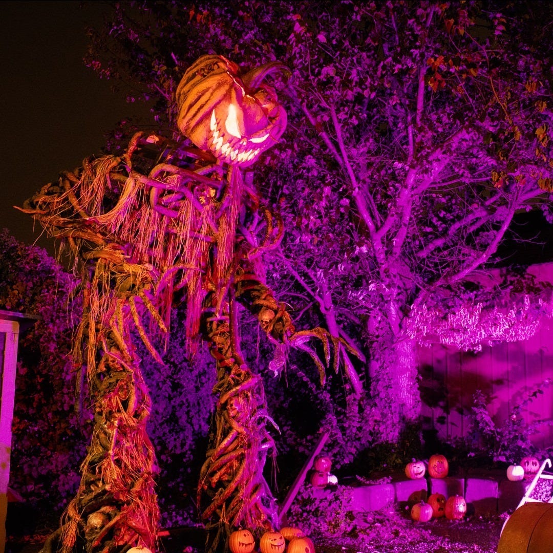 Large lawn figure of a mummy with a jack-o’-lantern head that’s grinning evilly.