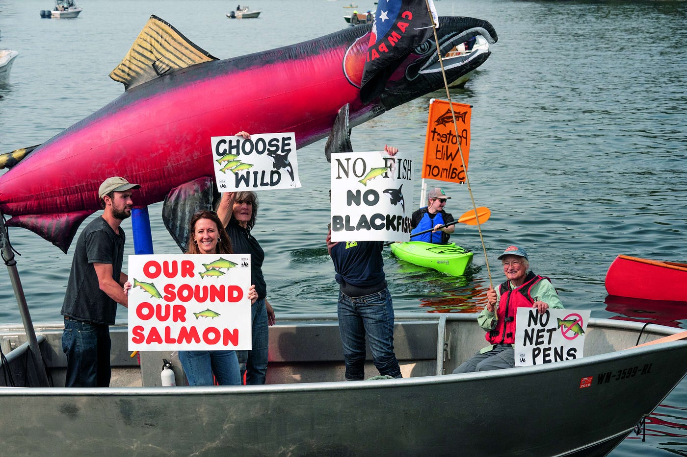 Get Involved — Our Sound, Our Salmon