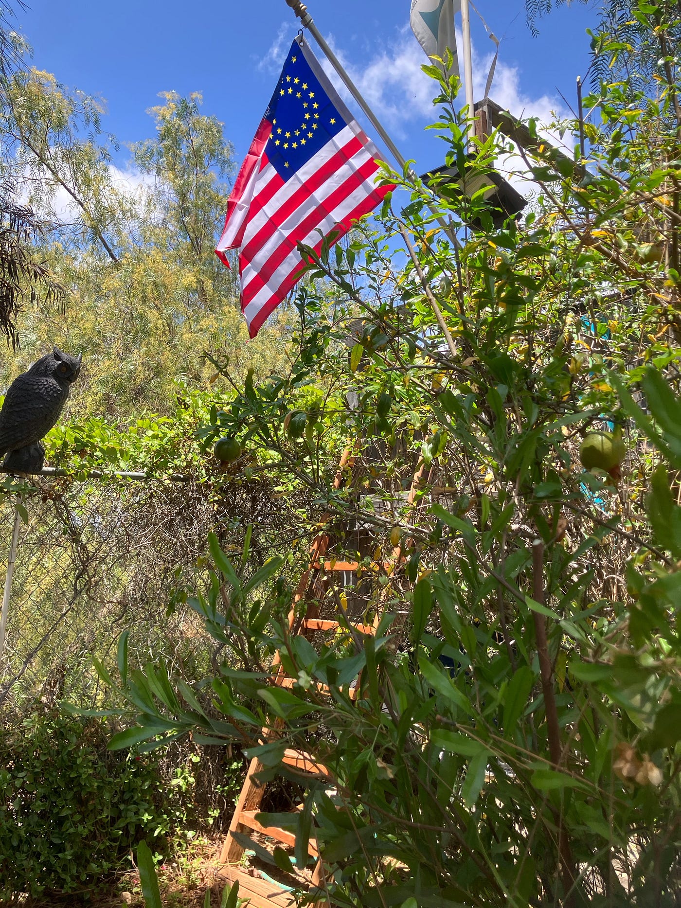 My photo of new flag