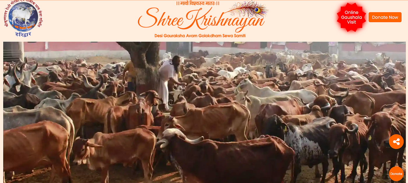 Experience the Richness of Culture and Art with Krishnayan