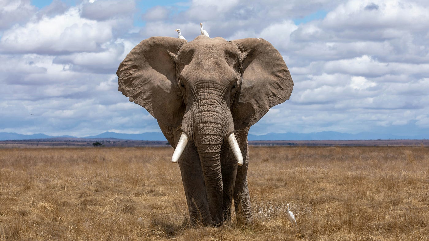 MySQL & PostgreSQL: Where Are Our Data Stored?