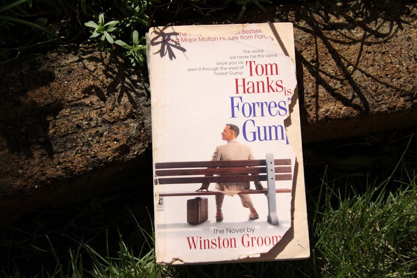 FORREST GUMP VS. NIGERIA: Thin lines between Reality & Fiction