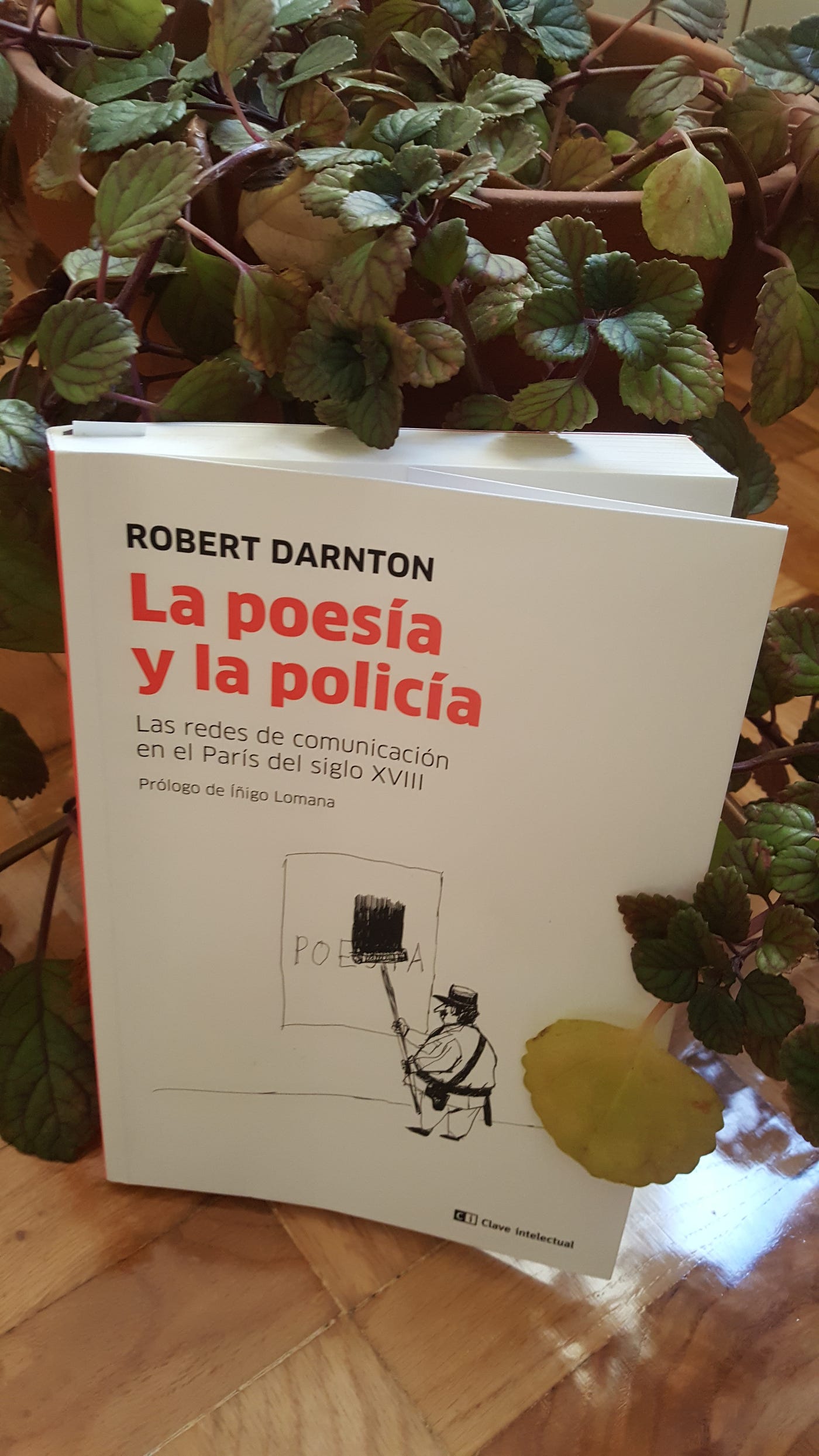 Robert Darnton: subversión contra el rey en ‘La poesía y la policía’