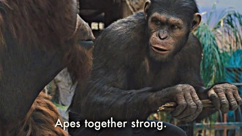 Monkey OOH Meme Generator - Piñata Farms - The best meme generator