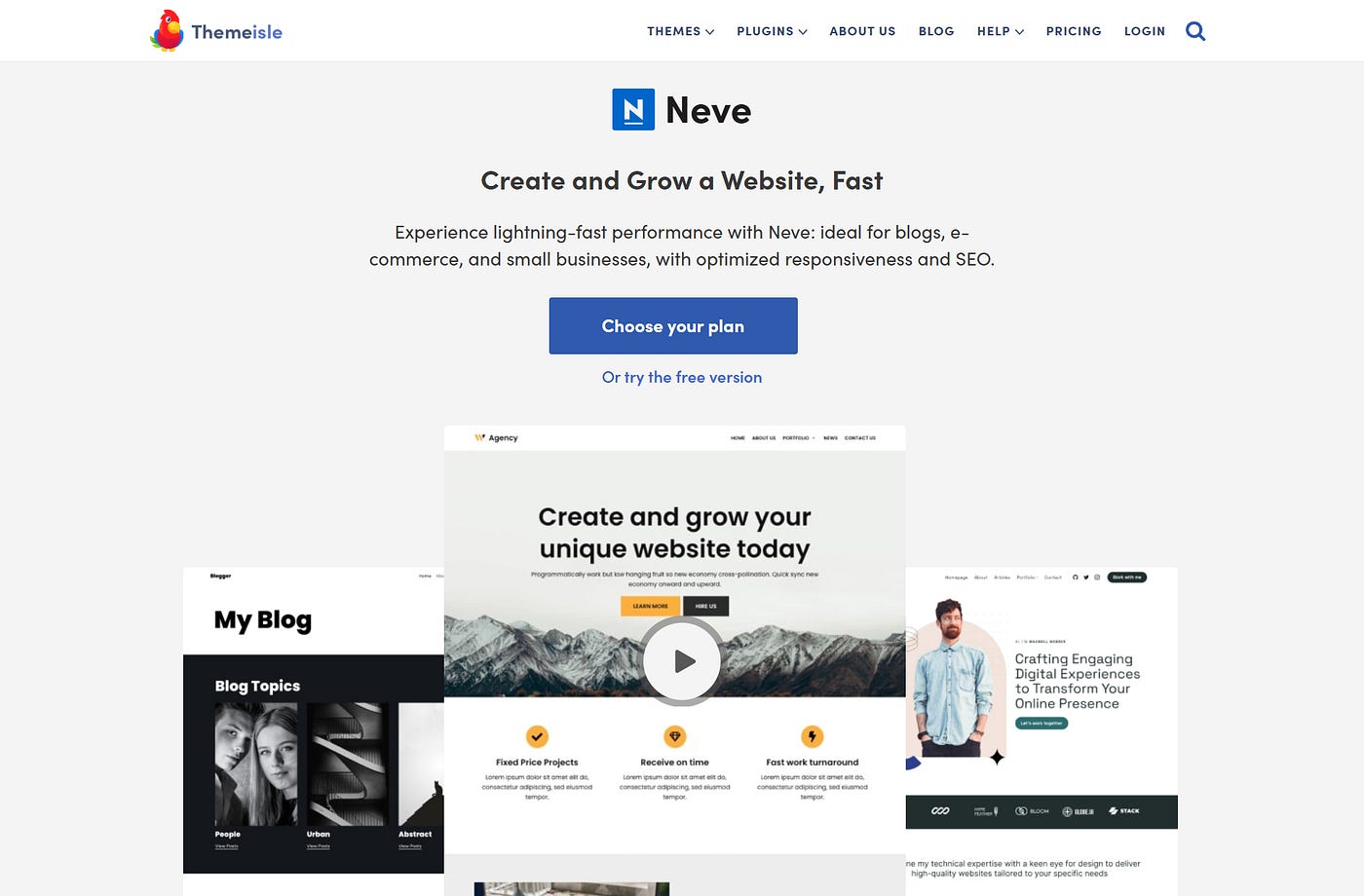 Neve WordPress Theme Solusi Cepat, Fleksibel, dan Gratis untuk Website