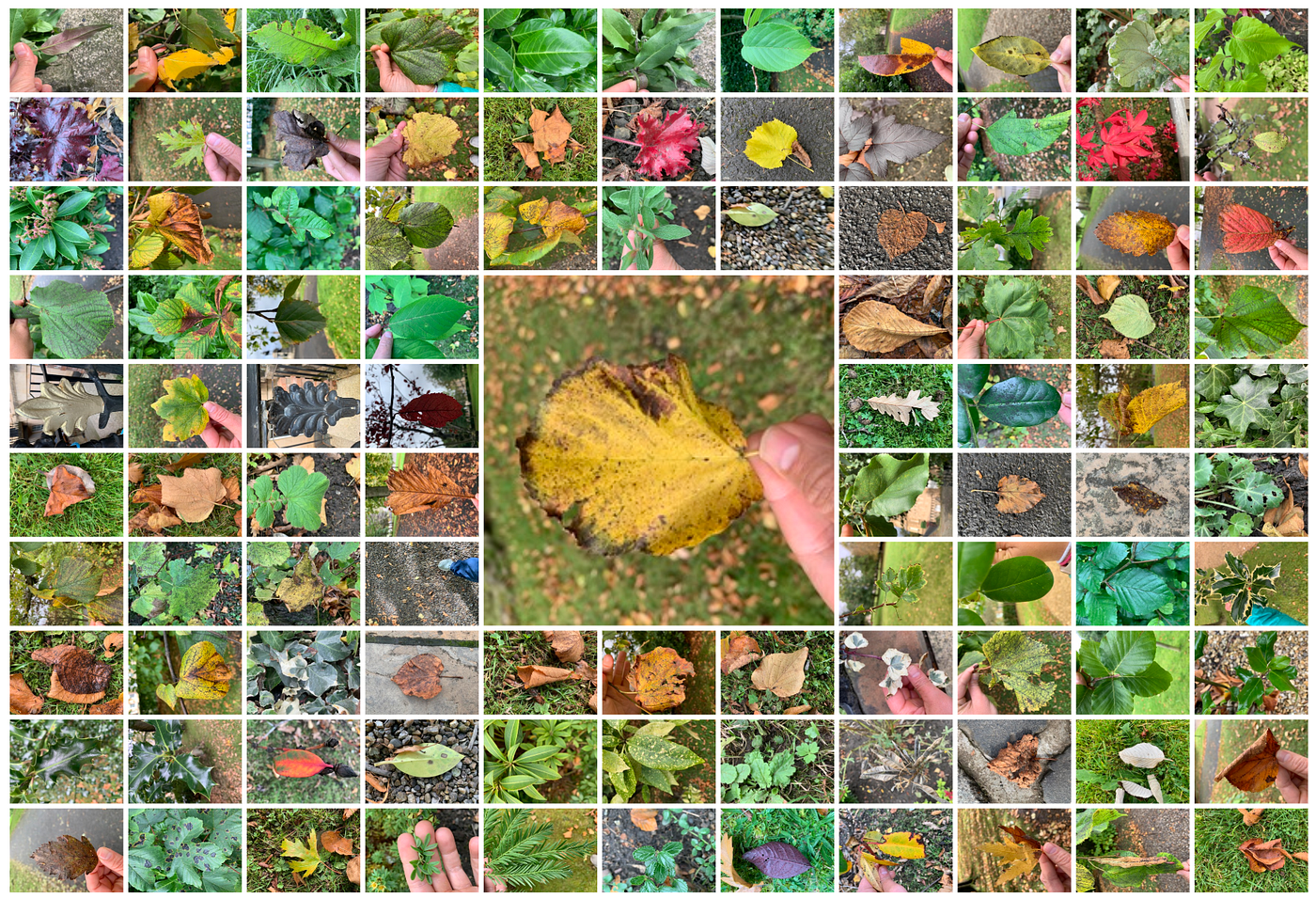 Addressing Bias in AI Datasets