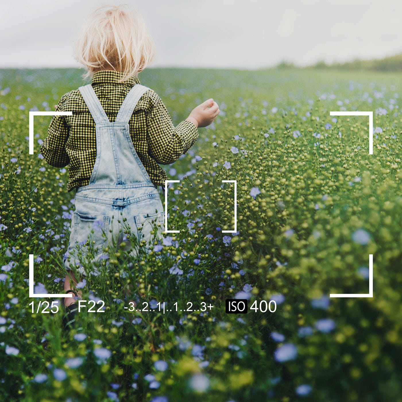 What is image recognition?