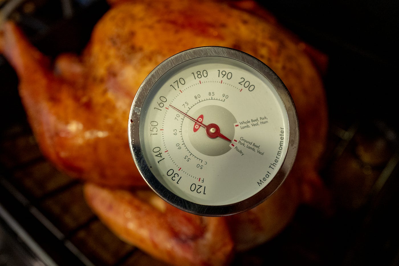 Check a Turkey's Temperature with a Meat Thermometer