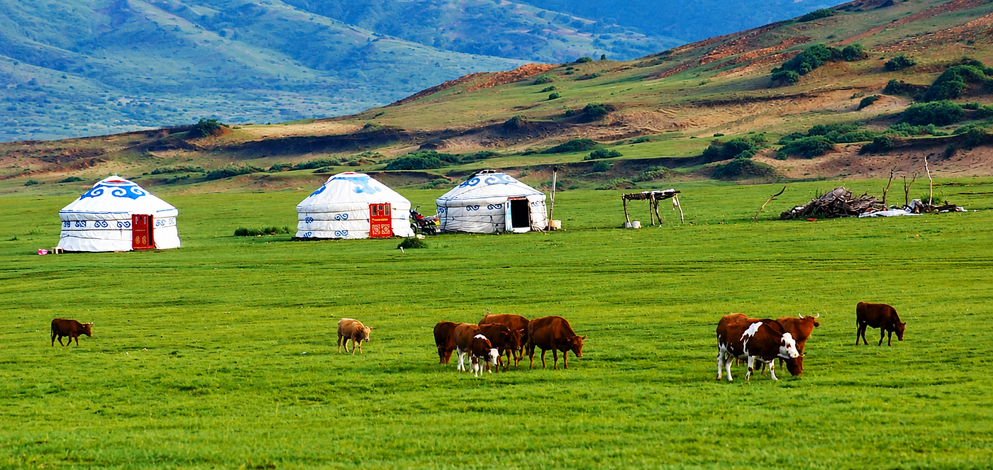 Old Ways in a Modern World: The Nomads of Mongolia