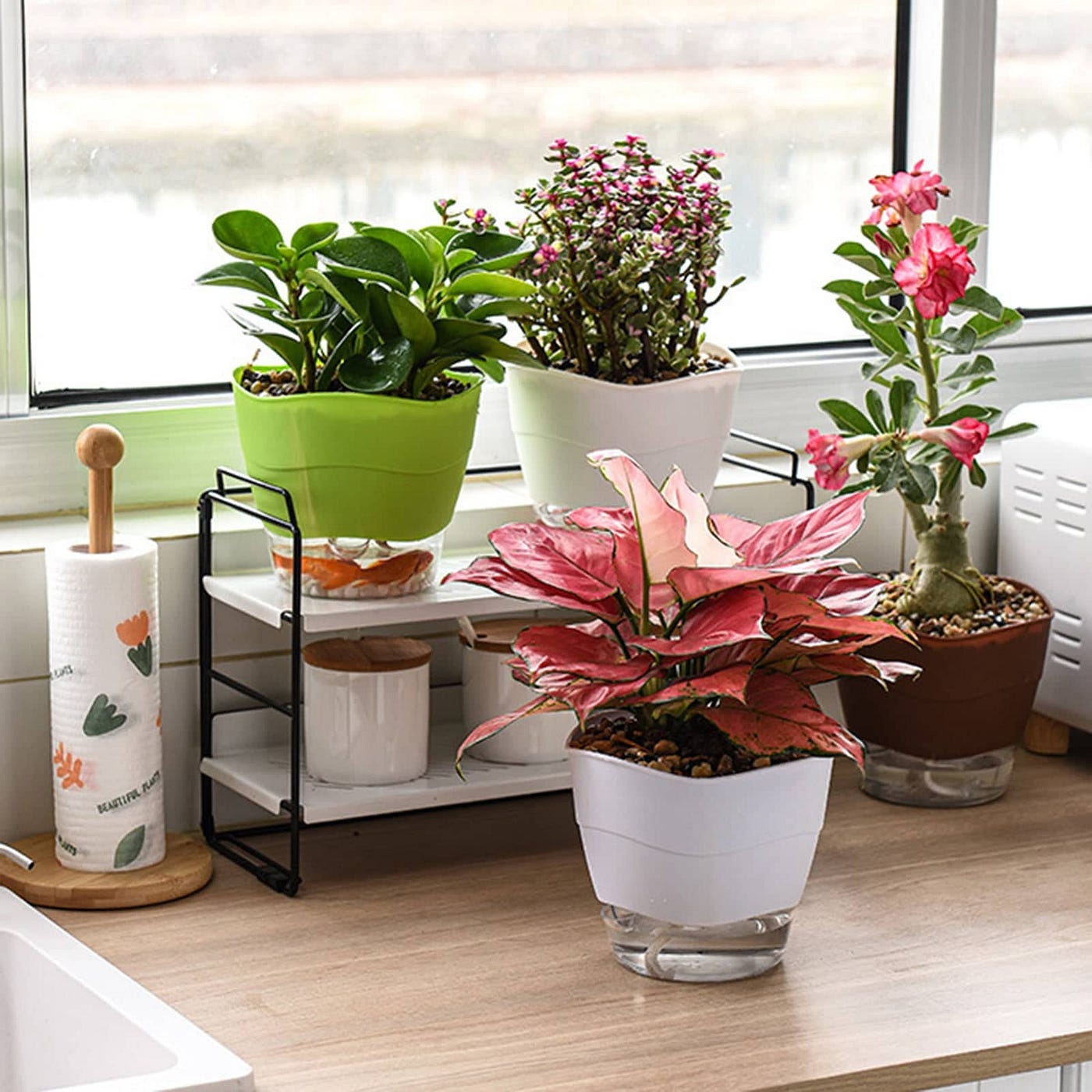 Elevate Your Indoor Oasis with House Plant Pots | by Love Planter | Medium