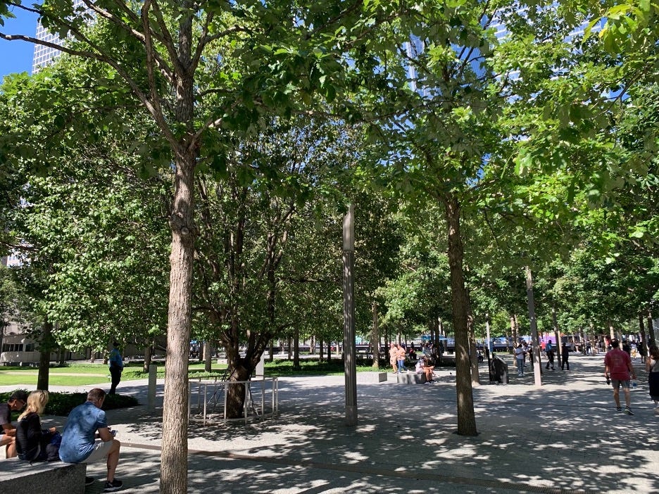 9/11 Memorial: Survivor Tree. Countless memorials throughout New York…, by  Frederick Hissenkaemper, Dust Settled