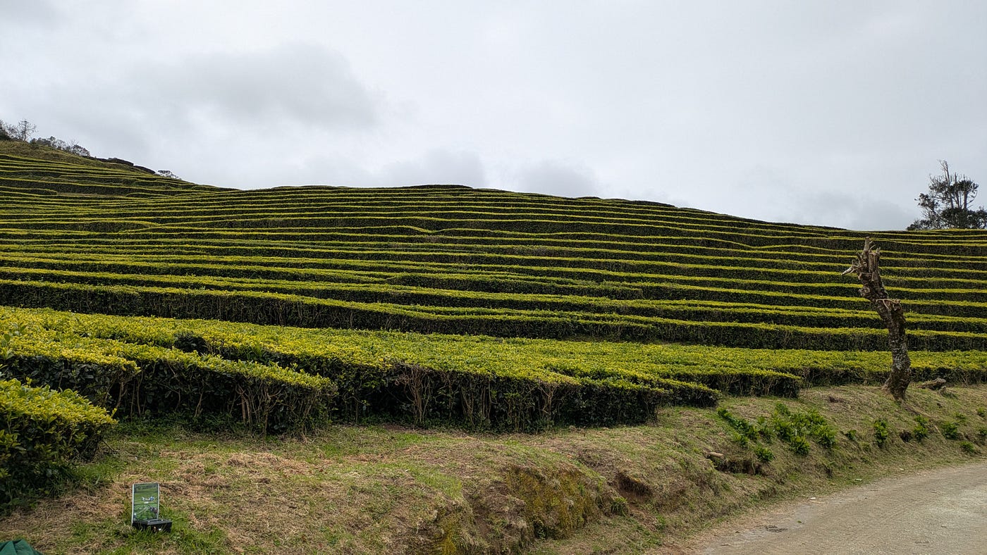 Seis Expirações sobre os Açores
