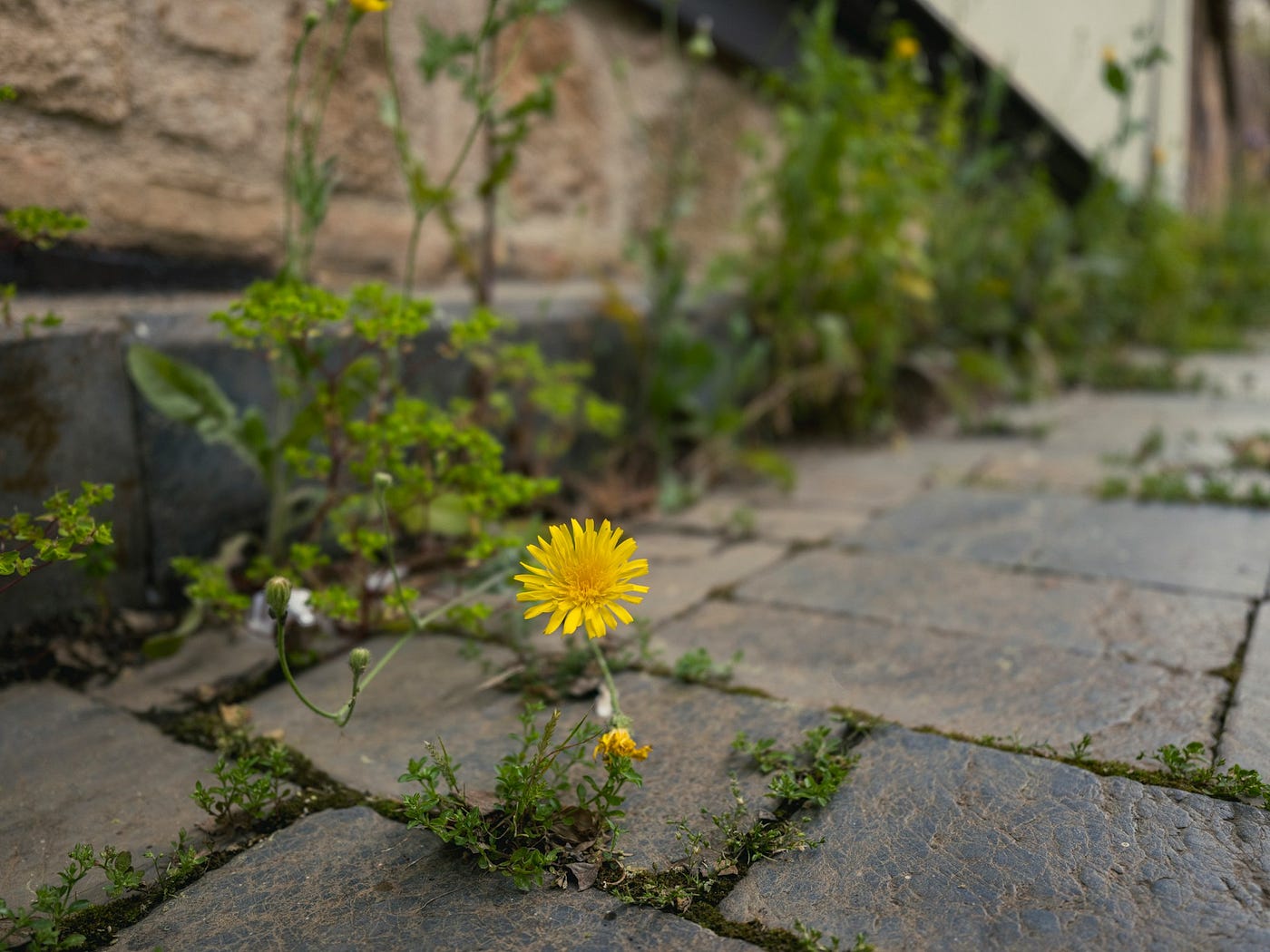 Between the Cracks