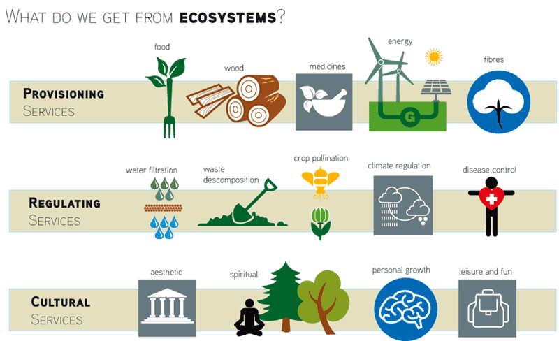 Conservation and Sustainable Management of Ecosystem Services