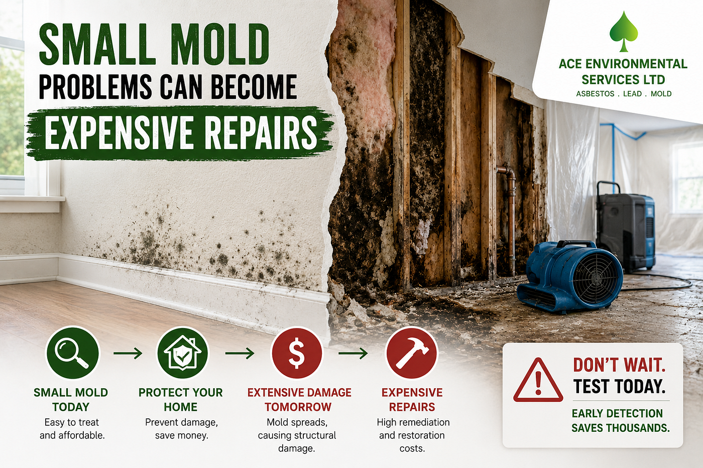 The Cost of Delaying Mold Testing: Risks Every Homeowner Should Know