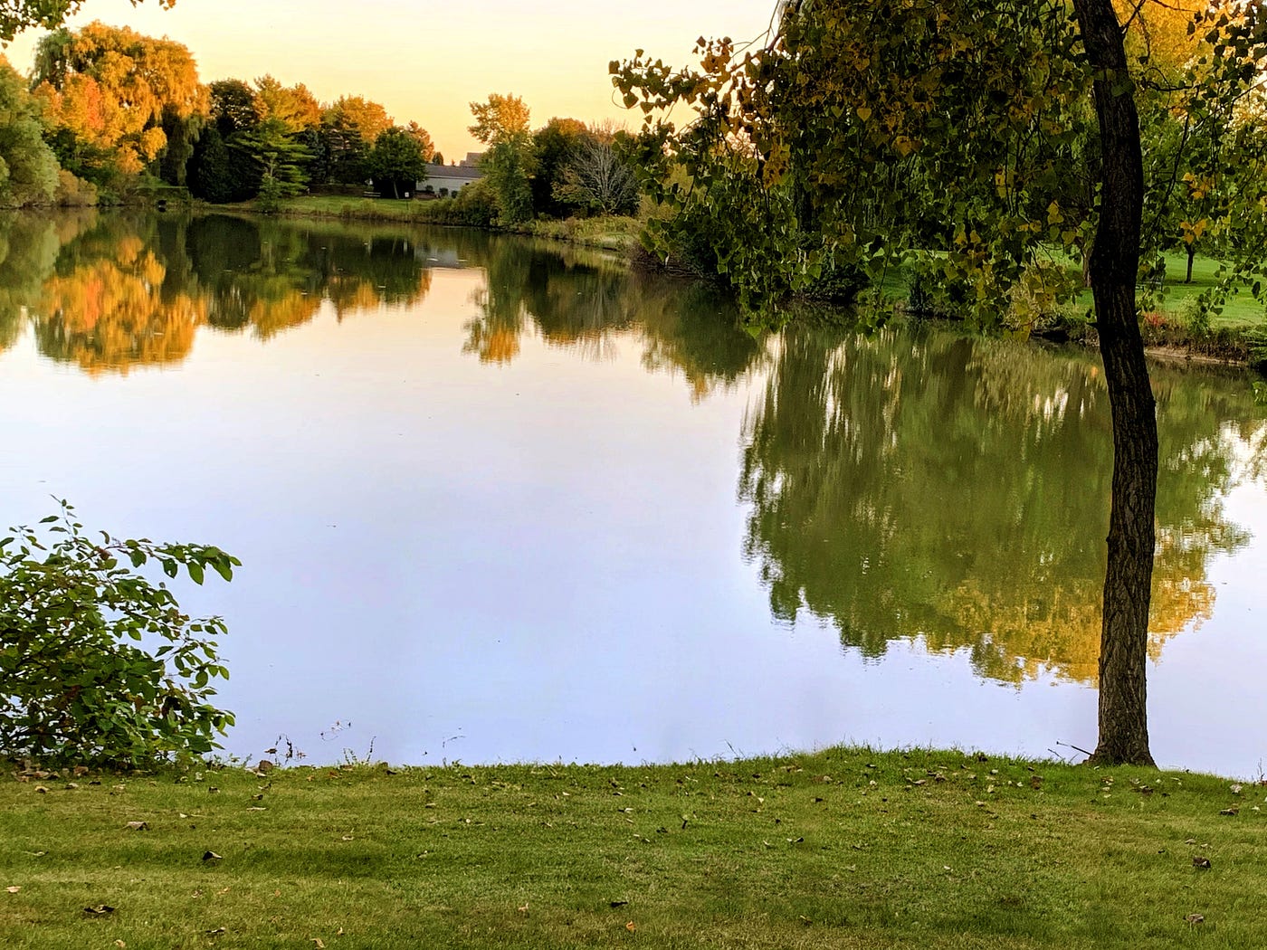 Autumn rides the surface. Photo by Author