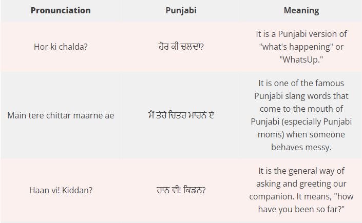 Stubborn Meaning in Punjabi - Meaning Punjabi