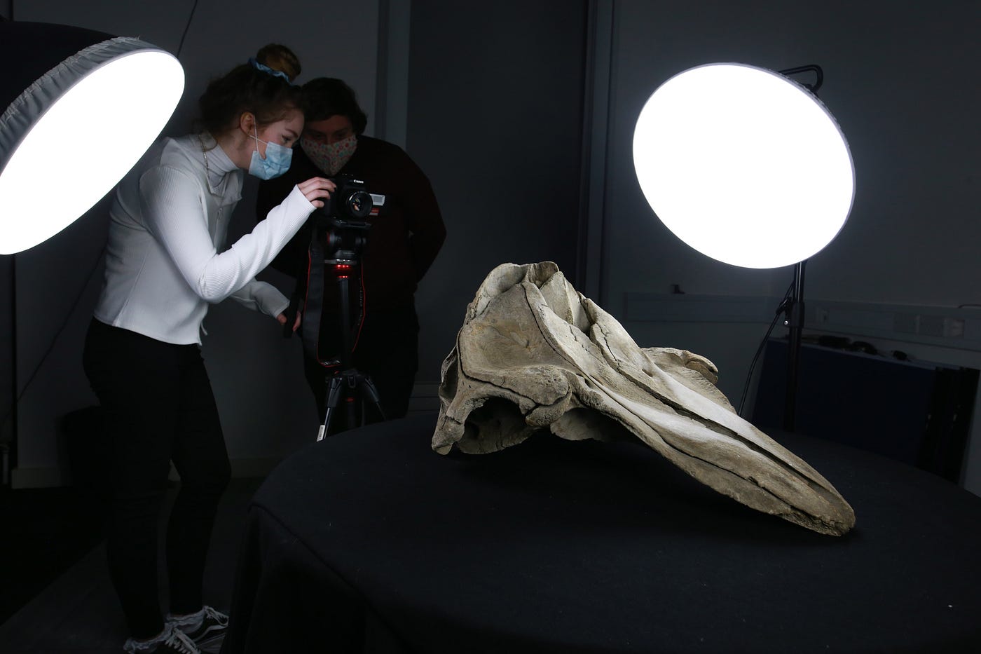 Bath Royal Literary and Scientific Institute: Activating with Creative Technology