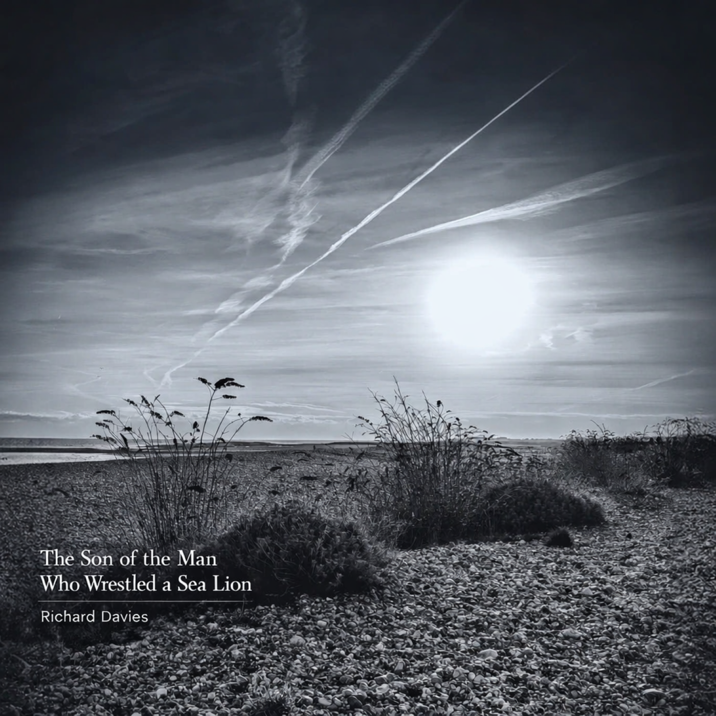 Album Review: Richard Davies: The Sone Of The Man Who Wrestled A Sealion