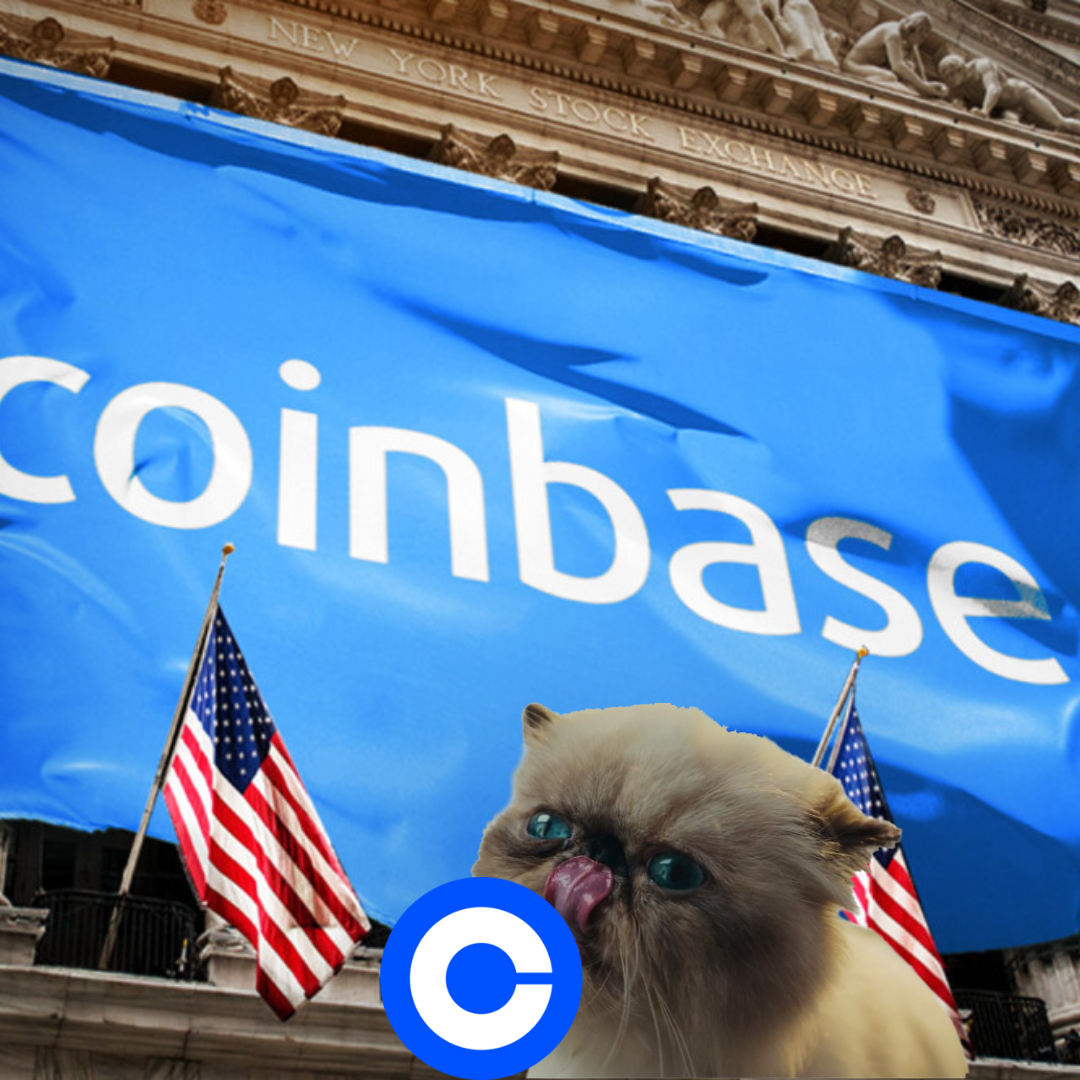We can go further together than we can go alone” Post 1-week $MIGGLES  Update | by MrMigglesOnBase | Medium