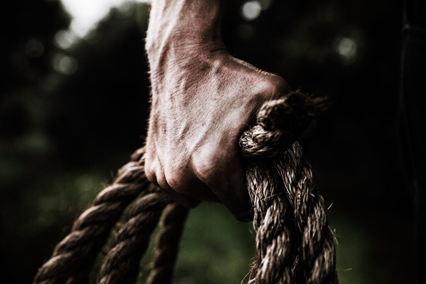 That Rope Top Rush. Give Rope Bondage a Try…You Just Might… | by