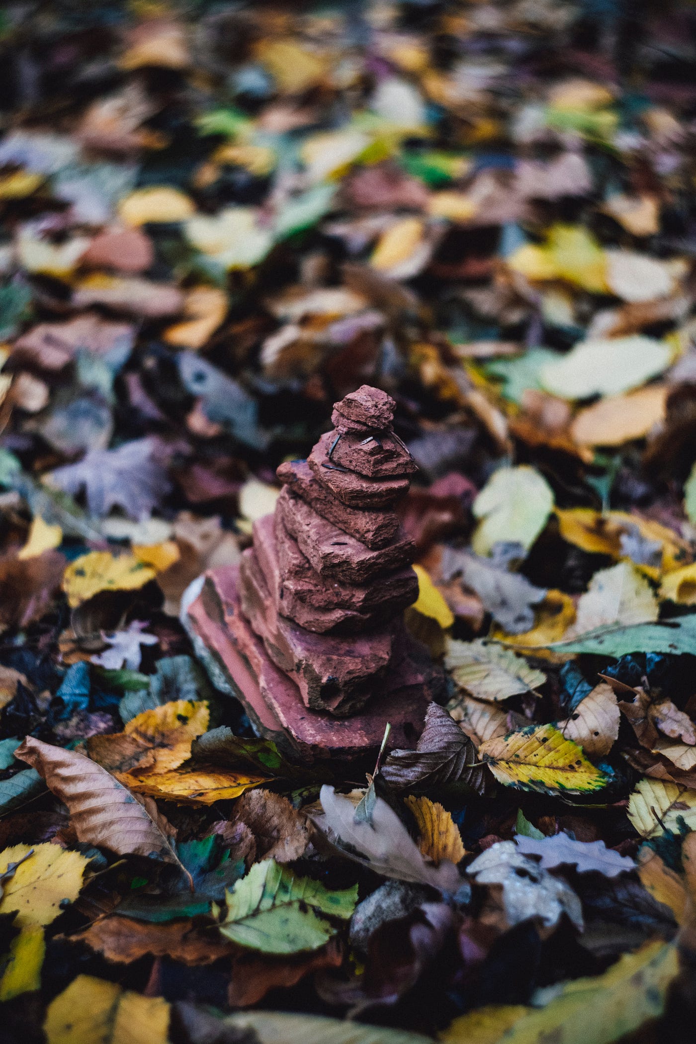 Implementing Heaps in JavaScript. Learn what Heaps are and what sort of… |  by Ankita Masand | Bits and Pieces