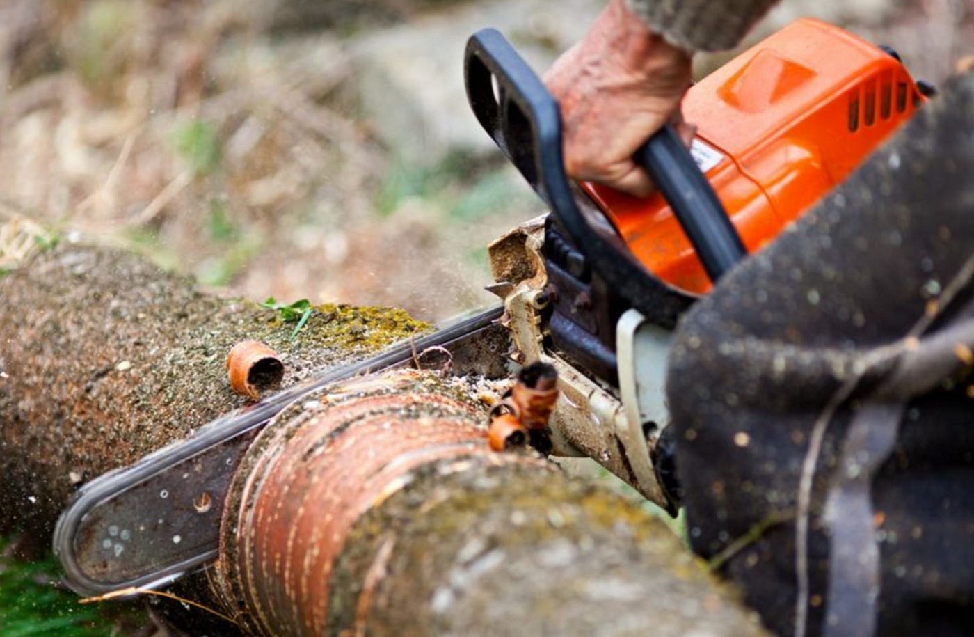 Chainsaw Safety Guide: Maintain your Chain(saw) | by Epic Tree Care | Medium