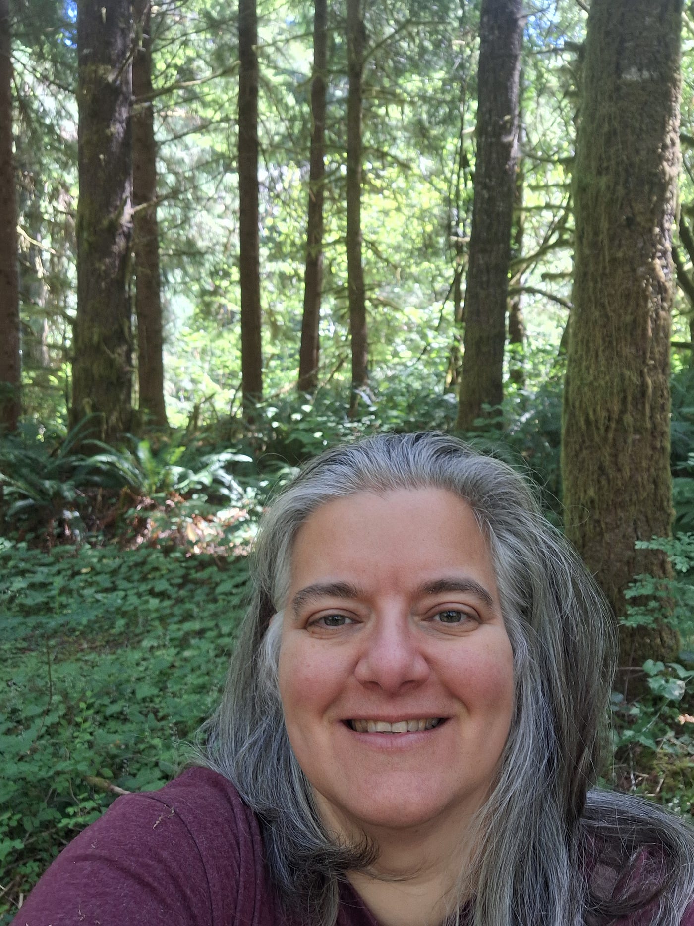 Today’s Forest Walk in Mindful Meandering