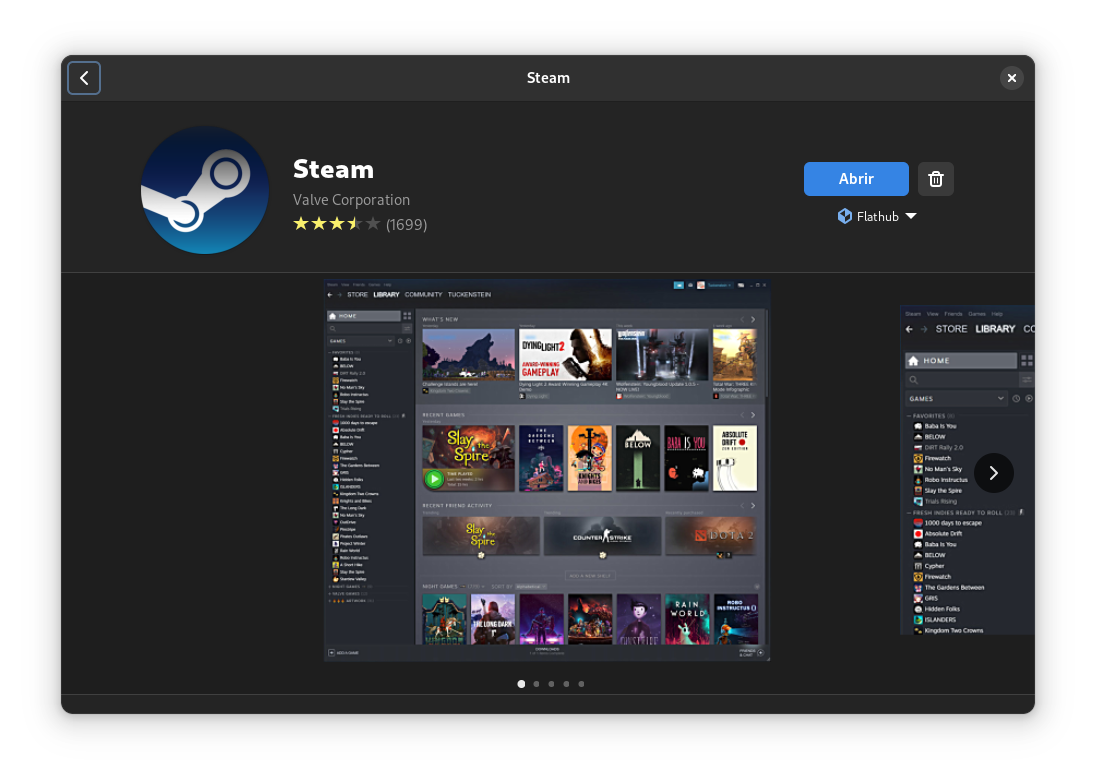 Steam  Flathub