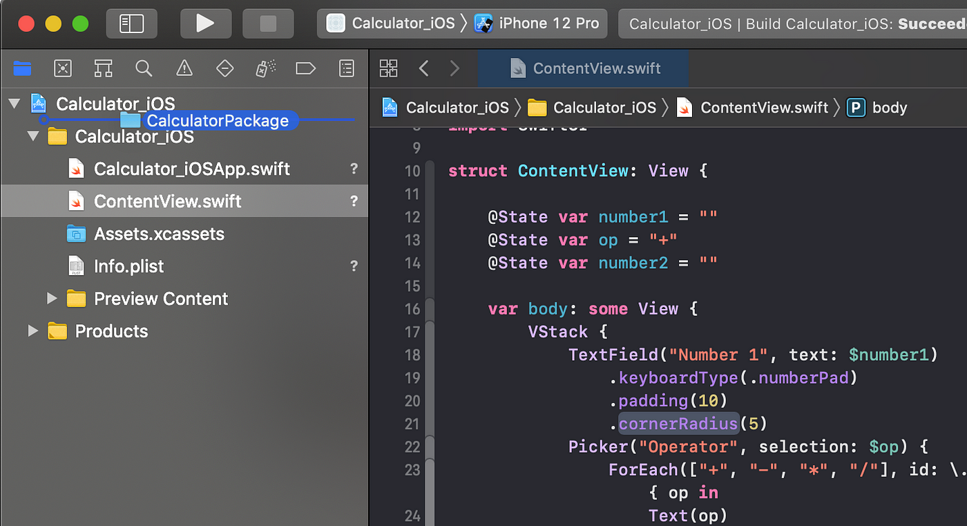 Modularize Xcode Projects using local Swift Packages | by Philip  Niedertscheider | ITNEXT