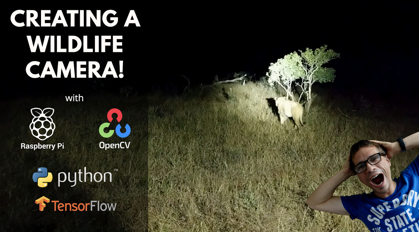 Creating a Wildlife Camera With a Raspberry PI, Python OpenCV and  Tensorflow | by Armindo Cachada | The Startup | Medium