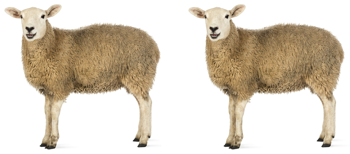 Don't clone Back-End models in Angular | by Adriano di Lauro | ITNEXT