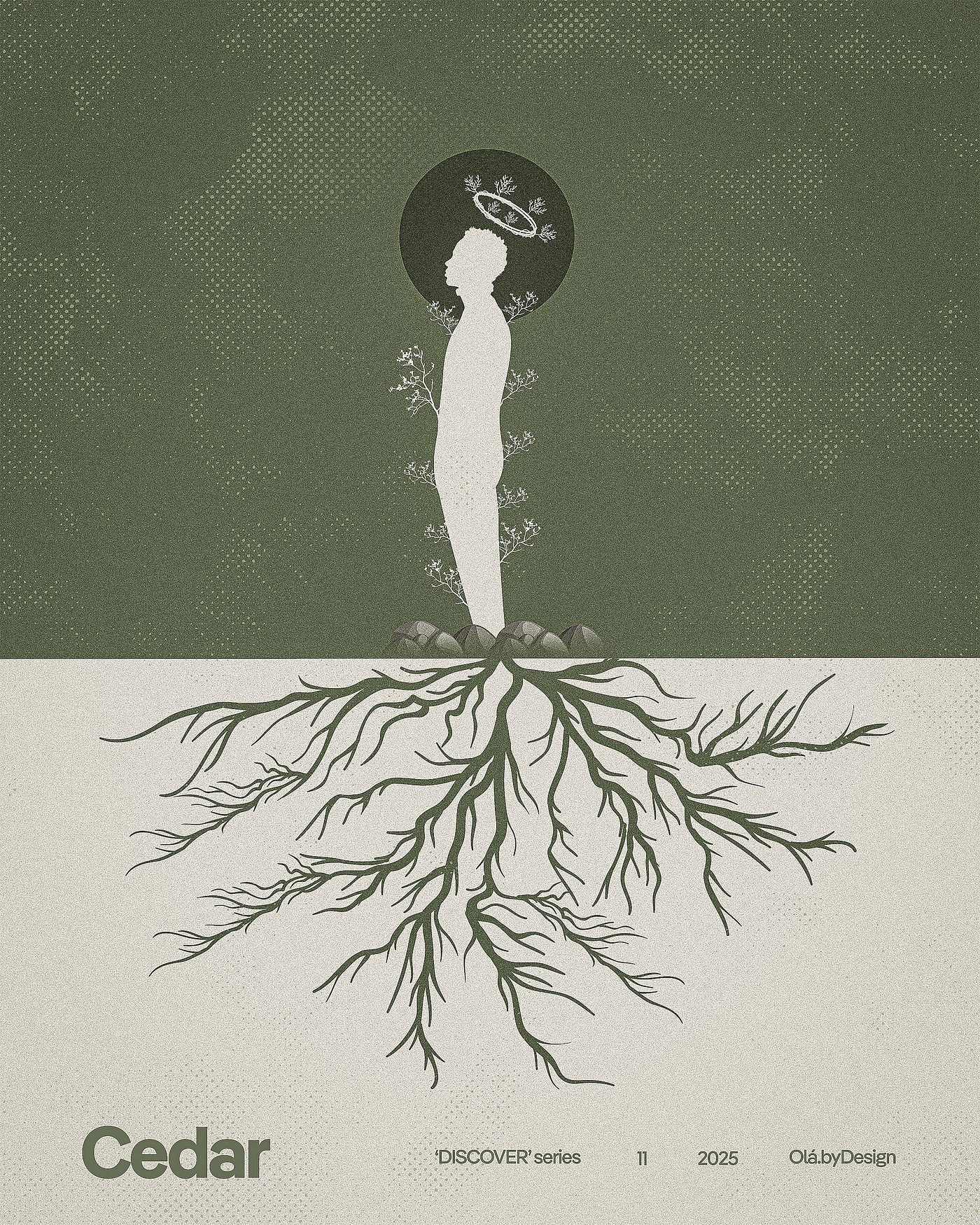 Cedar — ‘Discover’ series