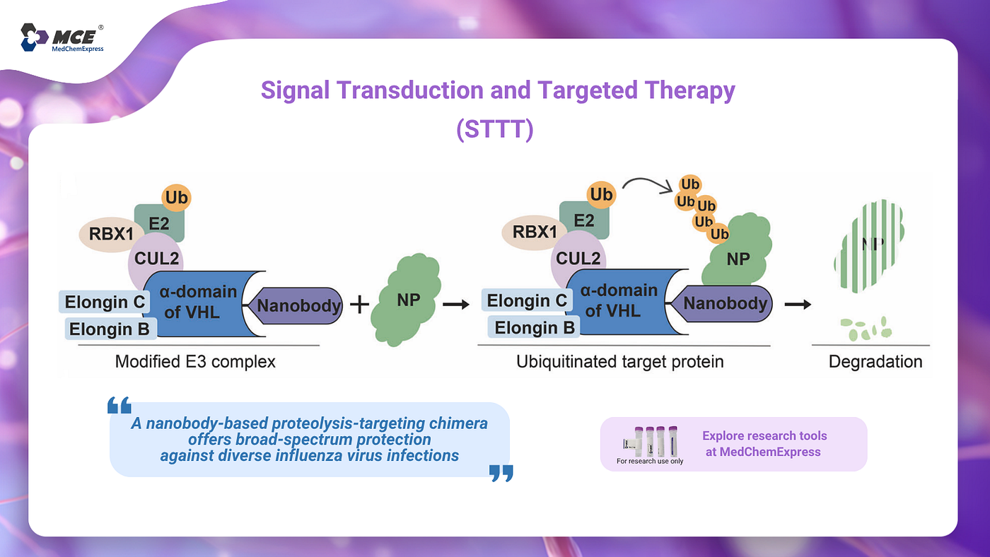 Nb-PROTAC Enables a Broad-Spectrum Breakthrough Against Influenza A