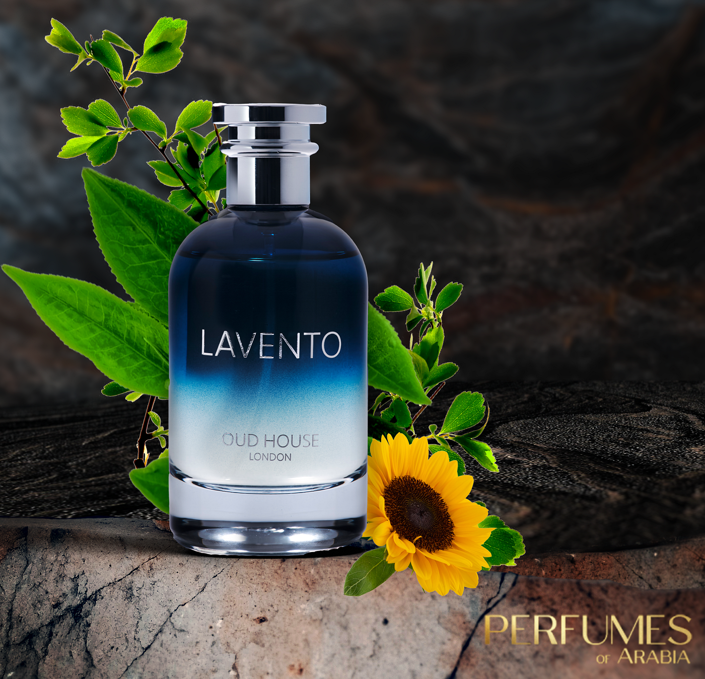 Lavento Perfume - Perfume Of Arabia London - Medium