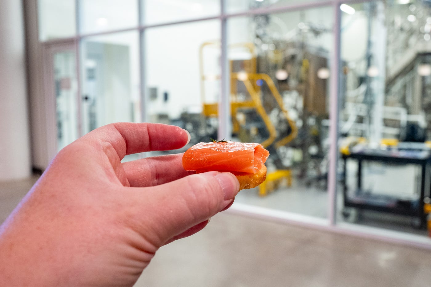 I Ate Lab-Grown Salmon. It Was Nothing Like I Expected.