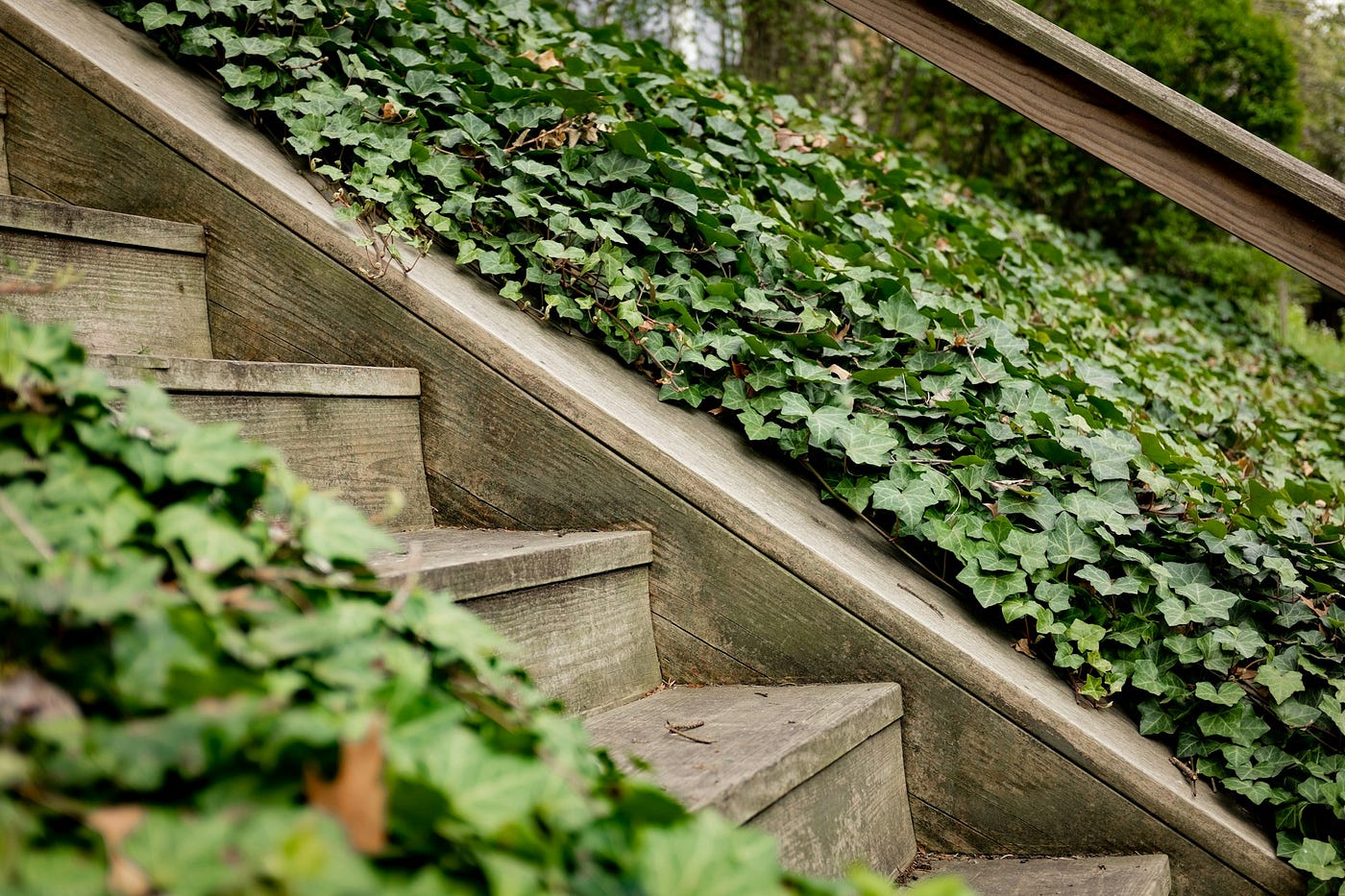 5 steps somebody using a productivity system must follow, should they stay effective and make a…