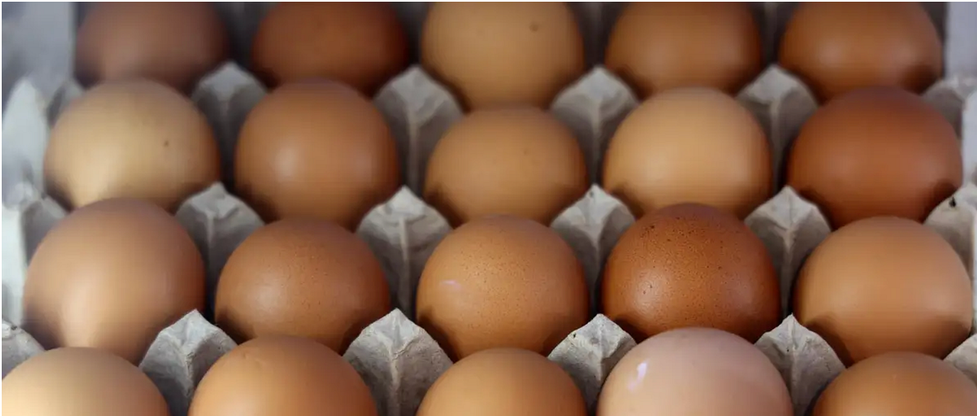 Here’s What You Need to Know About the Recent Salmonella Outbreak