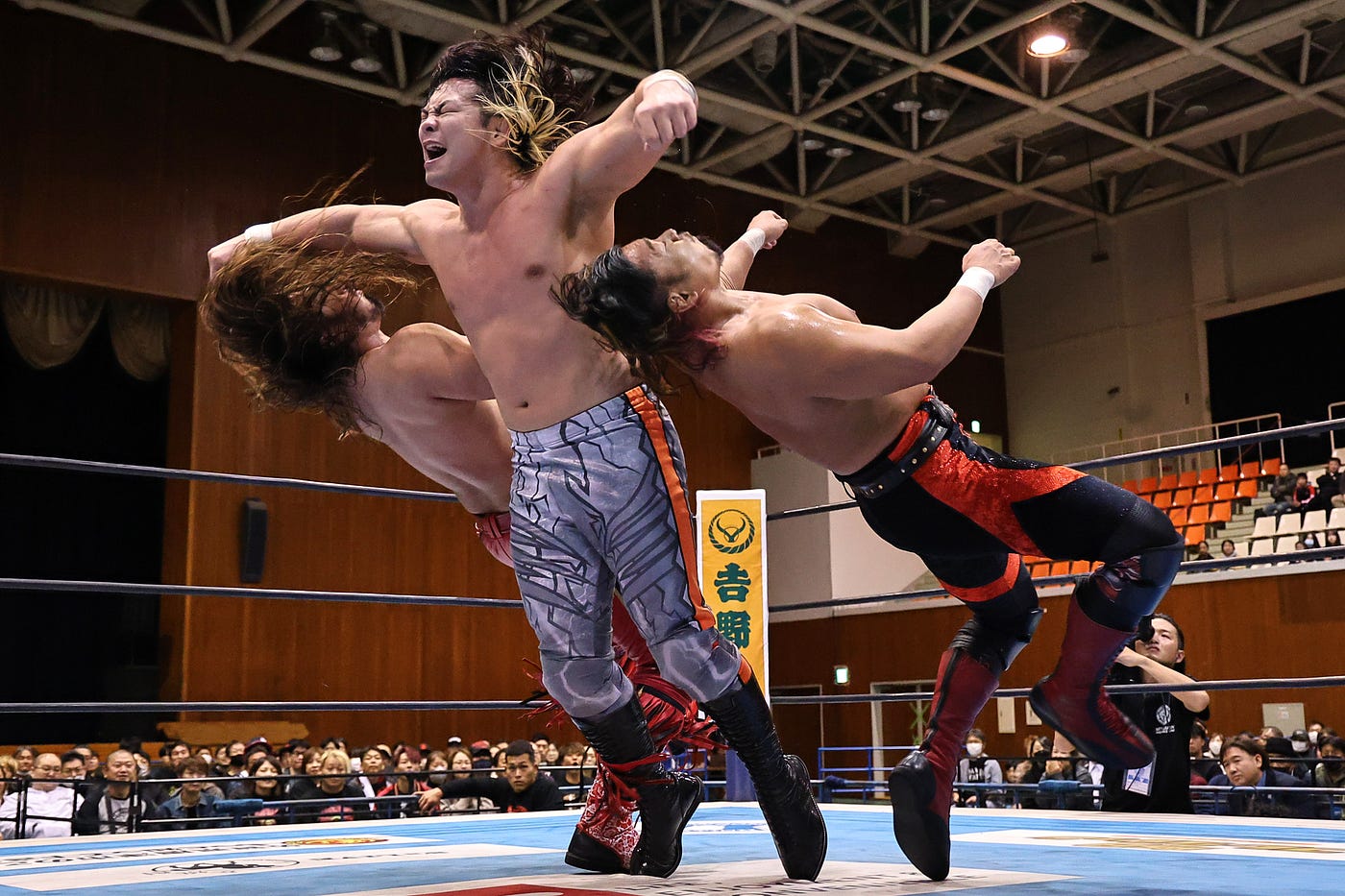 2024 in review: December. Year ends in style | by New Japan